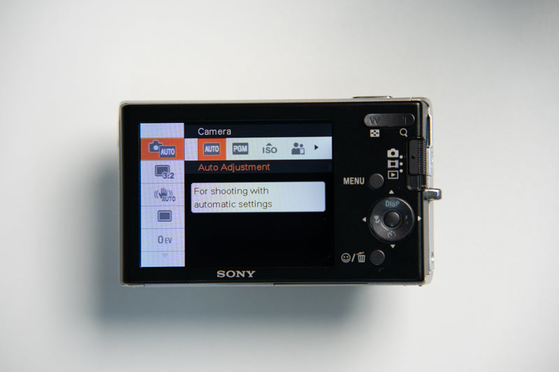 Sony Cybershot DSC-W180 Digital Camera - Silver